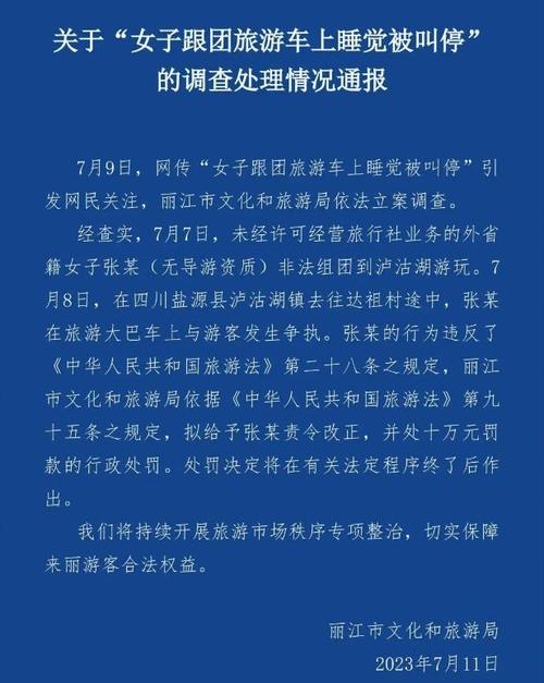 导游在讲解的过程中遇到游客投诉应该怎么办「导游强制消费报警有用吗」 手游攻略